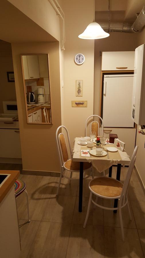 Hangulat Vendeghaz Apartmanok Orosháza Dış mekan fotoğraf